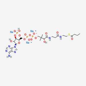 molecular formula C25H39N7Na3O17P3S B3029829 04:0 辅酶 A，丁酰辅酶 A（钠盐），粉末 CAS No. 799812-79-6