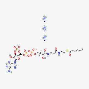 molecular formula C27H55N10O17P3S B3029830 06:0 Coenzyme A, hexanoyl Coenzyme A (ammonium salt), powder CAS No. 799812-81-0