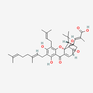 molecular formula C38H46O8 B3030339 (E)-4-[(1S,2S,13S,15R)-7-[(2E)-3,7-Dimethylocta-2,6-dienyl]-6,8-dihydroxy-17,17-dimethyl-5-(3-methylbut-2-enyl)-10,14-dioxo-3,16-dioxapentacyclo[11.4.1.02,11.02,15.04,9]octadeca-4,6,8,11-tetraen-15-yl]-2-methylbut-2-enoic acid CAS No. 887923-47-9