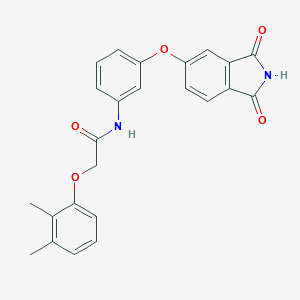 molecular formula C24H20N2O5 B303049 2-(2,3-dimethylphenoxy)-N-{3-[(1,3-dioxo-2,3-dihydro-1H-isoindol-5-yl)oxy]phenyl}acetamide 