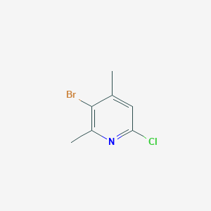 molecular formula C7H7BrClN B3030549 3-溴-6-氯-2,4-二甲基吡啶 CAS No. 918145-29-6