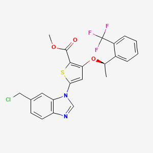 molecular formula C23H18ClF3N2O3S B3030604 (R)-甲基5-(6-(氯甲基)-1H-苯并[d]咪唑-1-基)-3-(1-(2-(三氟甲基)苯基)乙氧基)噻吩-2-羧酸酯 CAS No. 929095-40-9