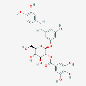 molecular formula C28H28O13 B3030685 Rhaponticin 2''-O-gallate CAS No. 94356-24-8