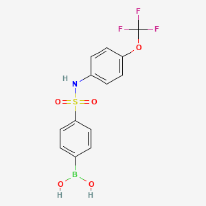 molecular formula C13H11BF3NO5S B3030786 4-Trifluoromethoxyphenyl 4-boronobenzenesulfonamide CAS No. 957062-98-5