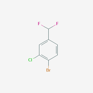 molecular formula C7H4BrClF2 B3031022 1-Bromo-2-chloro-4-(difluoromethyl)benzene CAS No. 1261614-16-7