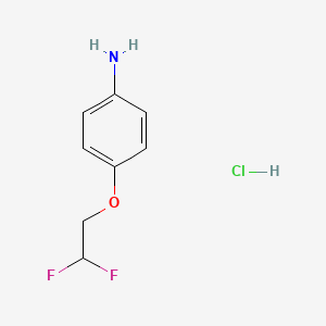 molecular formula C8H10ClF2NO B3031093 [4-(2,2-二氟乙氧基)苯基]胺盐酸盐 CAS No. 1431965-53-5