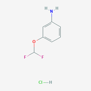 molecular formula C7H8ClF2NO B3031094 3-(Difluoromethoxy)aniline hydrochloride CAS No. 1431965-57-9