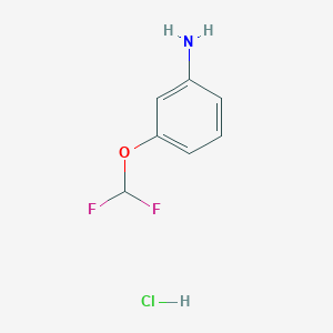 molecular formula C7H8ClF2NO B3031094 3-(二氟甲氧基)苯胺盐酸盐 CAS No. 1431965-57-9