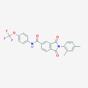 molecular formula C24H17F3N2O4 B303122 2-(2,4-dimethylphenyl)-1,3-dioxo-N-[4-(trifluoromethoxy)phenyl]-2,3-dihydro-1H-isoindole-5-carboxamide 
