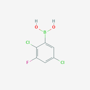 molecular formula C6H4BCl2FO2 B3031247 2,5-二氯-3-氟苯基硼酸 CAS No. 2121511-41-7
