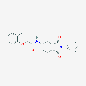 molecular formula C24H20N2O4 B303125 2-(2,6-dimethylphenoxy)-N-(1,3-dioxo-2-phenyl-2,3-dihydro-1H-isoindol-5-yl)acetamide 