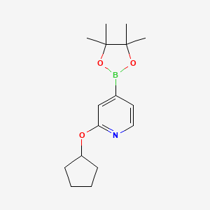 molecular formula C16H24BNO3 B3032264 2-(Cyclopentyloxy)-4-(4,4,5,5-tetramethyl-1,3,2-dioxaborolan-2-yl)pyridine CAS No. 1346707-97-8