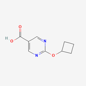 molecular formula C9H10N2O3 B3032308 2-Cyclobutoxypyrimidine-5-carboxylic acid CAS No. 1402232-91-0