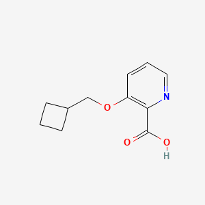 3-(Cyclobutylmethoxy)pyridine-2-carboxylic acid