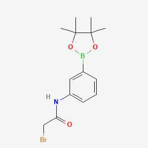 molecular formula C14H19BBrNO3 B3032516 3-(2-Bromoacetamido)phenylboronic acid, pinacol ester CAS No. 2096331-74-5