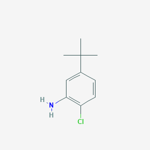 molecular formula C10H14ClN B3033171 2-Chloro-5-tert-butylaniline CAS No. 918445-56-4