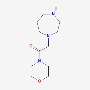 molecular formula C11H21N3O2 B3033381 2-(1,4-Diazepan-1-yl)-1-morpholinoethanone CAS No. 1019438-91-5