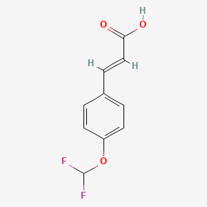 molecular formula C10H8F2O3 B3033949 4-(Difluoromethoxy)cinnamic acid CAS No. 127842-70-0