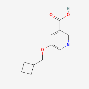 molecular formula C11H13NO3 B3034119 5-(Cyclobutylmethoxy)pyridine-3-carboxylic acid CAS No. 1385696-52-5