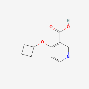 molecular formula C10H11NO3 B3034201 4-Cyclobutoxypyridine-3-carboxylic acid CAS No. 1439900-36-3