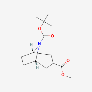 molecular formula C14H23NO4 B3034304 Exo-8-boc-8-azabicyclo[3.2.1]octane-3-carboxylic acid methyl ester CAS No. 1548548-51-1