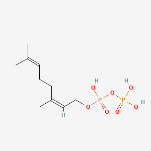 molecular formula C10H20O7P2 B3034385 Neryl diphosphate CAS No. 16751-02-3