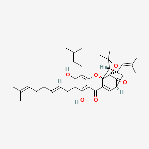 molecular formula C38H48O6 B3034424 Desoxygambogenin CAS No. 173614-93-2
