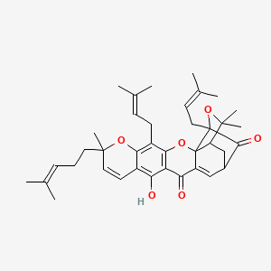 molecular formula C38H46O6 B3034426 gambogin CAS No. 173792-67-1