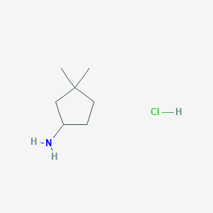 3,3-Dimethylcyclopentan-1-amine hydrochloride