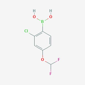 molecular formula C7H6BClF2O3 B3035301 (2-氯-4-(二氟甲氧基)苯基)硼酸 CAS No. 313545-33-4