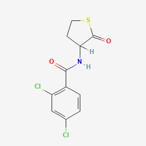 2,4-dichloro-N-(2-oxothiolan-3-yl)benzamide