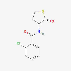 2-chloro-N-(2-oxothiolan-3-yl)benzamide