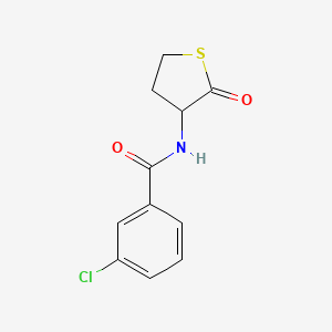 3-chloro-N-(2-oxothiolan-3-yl)benzamide
