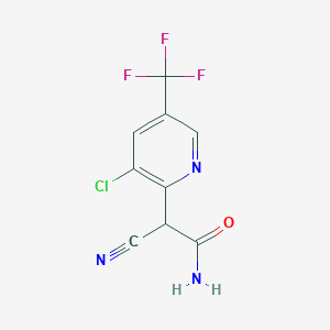 molecular formula C9H5ClF3N3O B3035637 2-[3-氯-5-(三氟甲基)-2-吡啶基]-2-氰基乙酰胺 CAS No. 338396-85-3