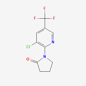 molecular formula C10H8ClF3N2O B3035960 1-[3-氯-5-(三氟甲基)吡啶-2-基]吡咯烷-2-酮 CAS No. 338791-67-6