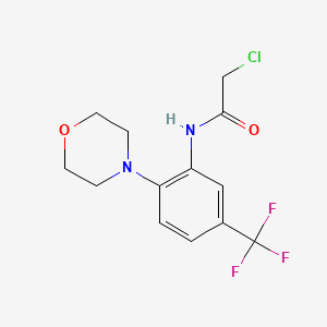 molecular formula C13H14ClF3N2O2 B3036599 2-chloro-N-[2-(morpholin-4-yl)-5-(trifluoromethyl)phenyl]acetamide CAS No. 379255-35-3