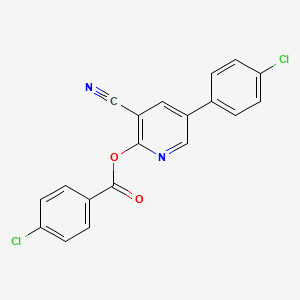 molecular formula C19H10Cl2N2O2 B3036902 5-(4-氯苯基)-3-氰基-2-吡啶基 4-氯苯甲酸酯 CAS No. 400085-50-9