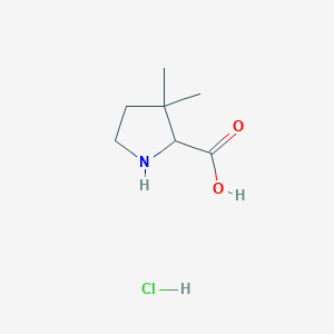 3,3-Dimethylpyrrolidine-2-carboxylic acid hydrochloride