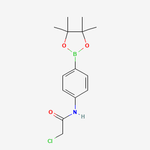 2-chloro-N-(4-(4,4,5,5-tetramethyl-1,3,2-dioxaborolan-2-yl)phenyl)acetamide