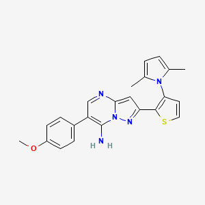 molecular formula C23H21N5OS B3038447 2-[3-(2,5-dimethyl-1H-pyrrol-1-yl)-2-thienyl]-6-(4-methoxyphenyl)pyrazolo[1,5-a]pyrimidin-7-amine CAS No. 865657-95-0