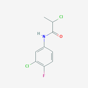 molecular formula C9H8Cl2FNO B3038598 2-氯-N-(3-氯-4-氟苯基)丙酰胺 CAS No. 868771-19-1