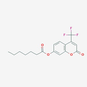 molecular formula C17H17F3O4 B3039168 [2-oxo-4-(trifluoromethyl)chromen-7-yl] Heptanoate CAS No. 351002-79-4