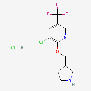 molecular formula C11H13Cl2F3N2O B3039935 盐酸 3-氯-2-（吡咯烷-3-基甲氧基）-5-（三氟甲基）吡啶 CAS No. 1417794-08-1
