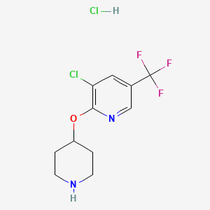 molecular formula C11H13Cl2F3N2O B3039938 3-Chloro-2-(piperidin-4-yloxy)-5-(trifluoromethyl)pyridine hydrochloride CAS No. 1417794-23-0