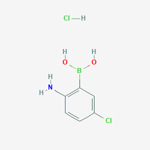molecular formula C6H8BCl2NO2 B3040762 (2-氨基-5-氯苯基)硼酸盐酸盐 CAS No. 2377608-36-9