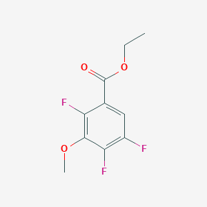 molecular formula C10H9F3O3 B3041730 Ethyl 2,4,5-trifluoro-3-methoxybenzoate CAS No. 351354-45-5