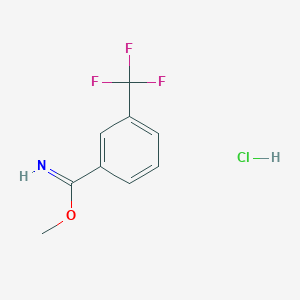 molecular formula C9H9ClF3NO B3042304 3-(三氟甲基)苯甲酰亚胺甲酯盐酸盐 CAS No. 56108-09-9