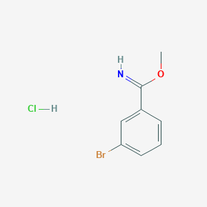 B3042305 Methyl 3-bromobenzimidate hydrochloride CAS No. 56108-13-5