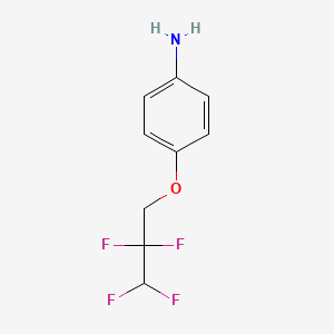 molecular formula C9H9F4NO B3042350 4-(2,2,3,3-Tetrafluoropropoxy)aniline CAS No. 58761-14-1
