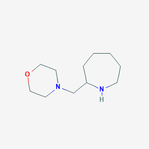 molecular formula C11H22N2O B3043508 2-(Morpholin-4-ylmethyl)azepane CAS No. 881040-14-8
